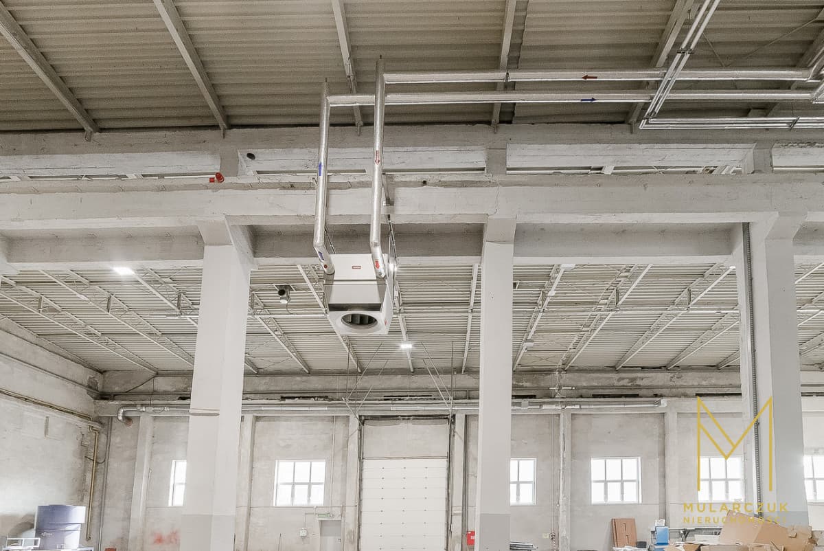 Hala - Będzin, będziński, Sielecka - zdjęcie 16