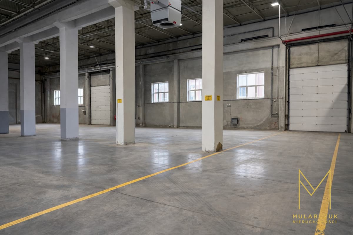 Hala - Będzin, będziński, Sielecka - zdjęcie 11